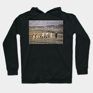 Postcard of the Moroccan Countryside Hoodie